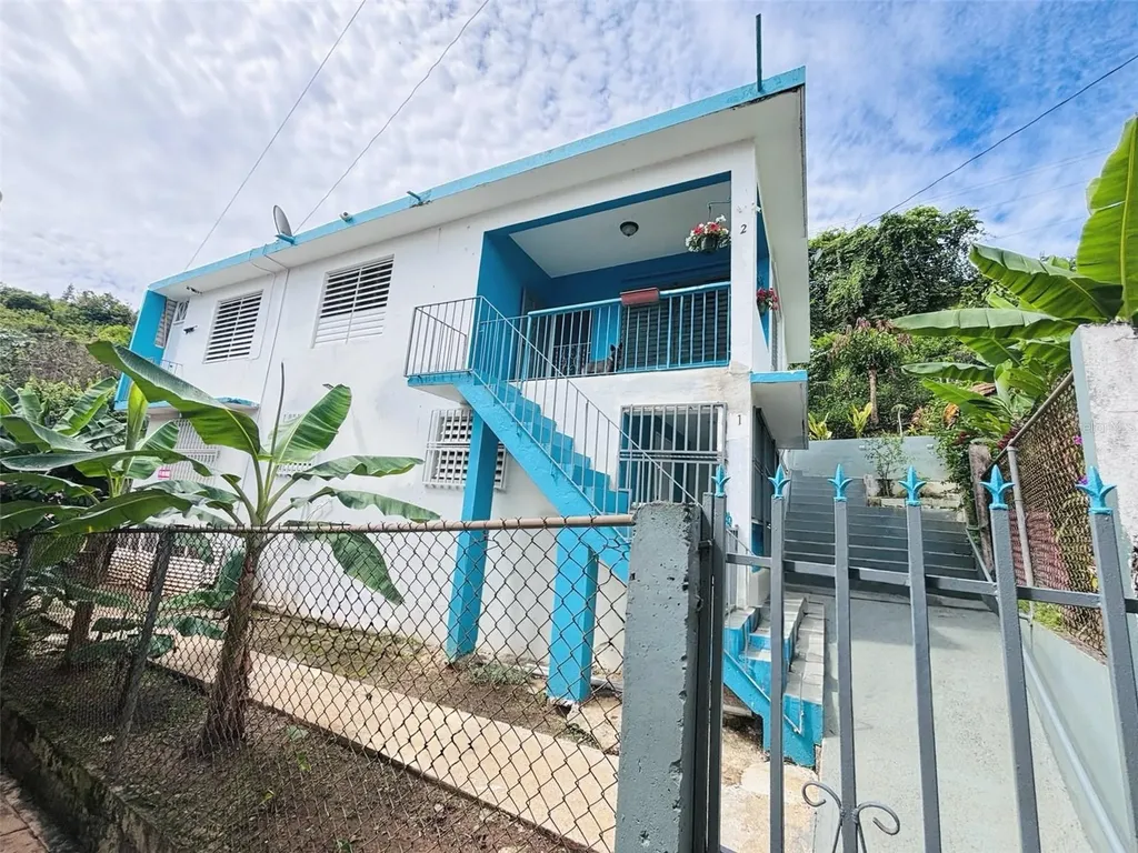 Calle Martin Barry Lote 4, Sector Sal Si Puedes Orocovis PR 00720