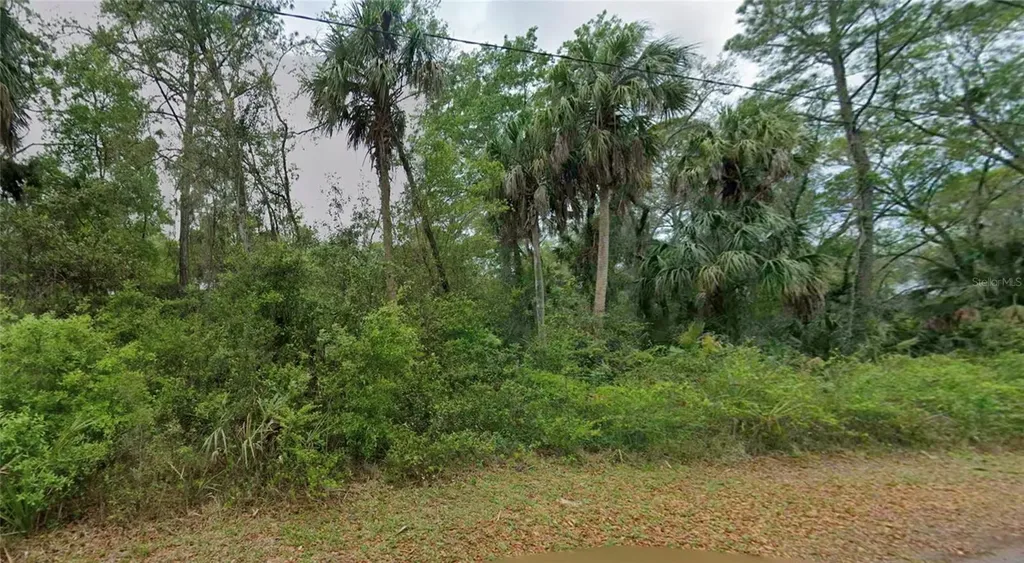 11148 W Cedar Lake Drive Crystal River FL 34428