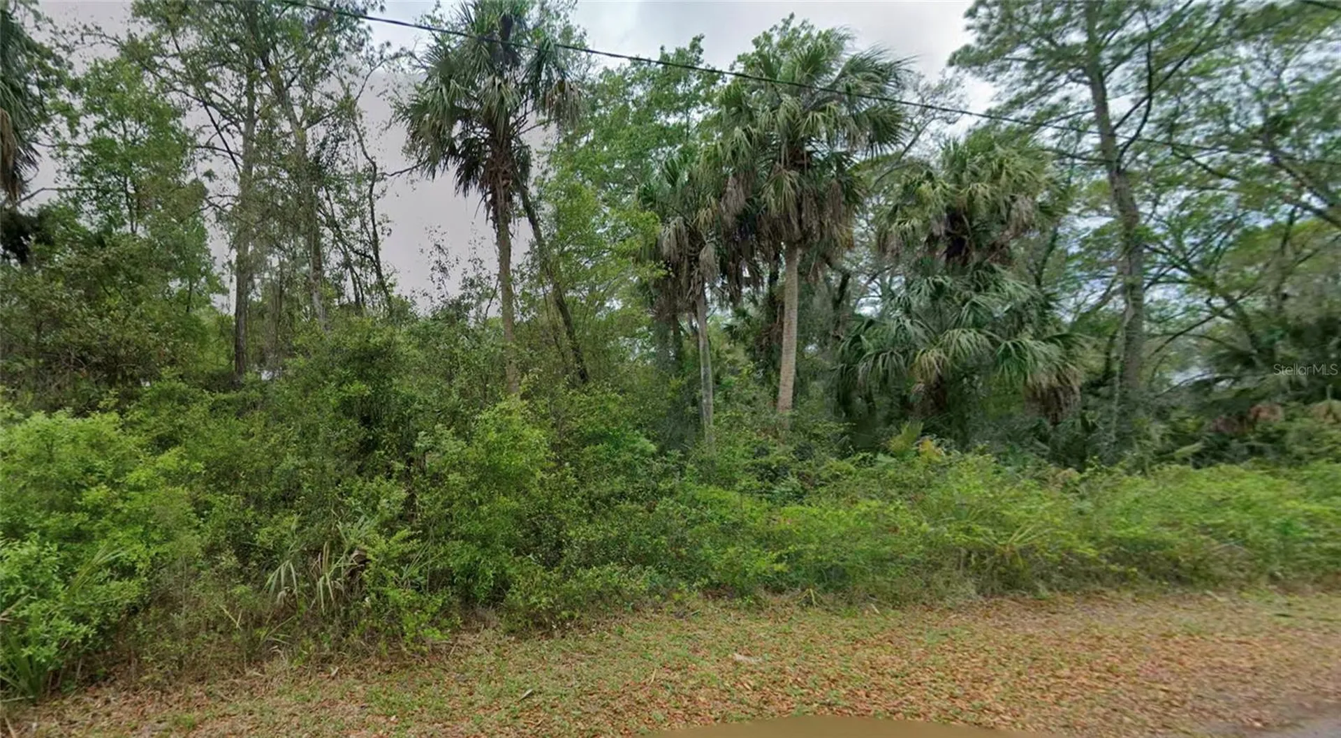 11148 W Cedar Lake Drive Crystal River FL 34428