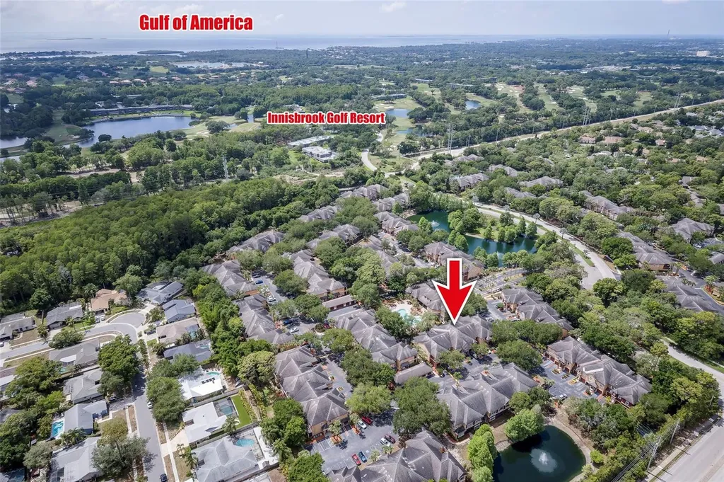 2277 Chianti Place Palm Harbor FL 34683