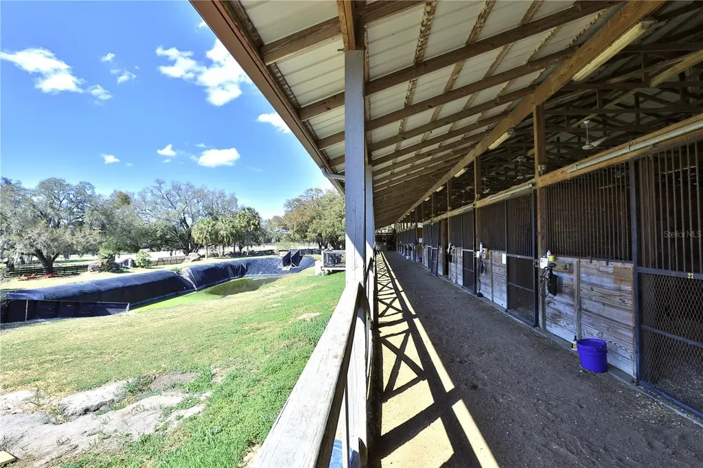6692 NW 150th Avenue Morriston FL 32668