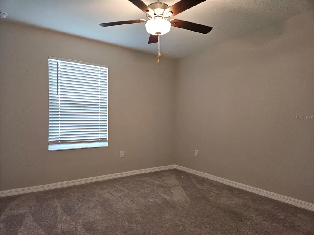 32112 Powderpuff Mimosa Drive San Antonio FL 33576
