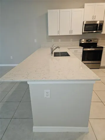 32112 Powderpuff Mimosa Drive San Antonio FL 33576