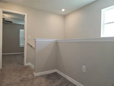 32112 Powderpuff Mimosa Drive San Antonio FL 33576