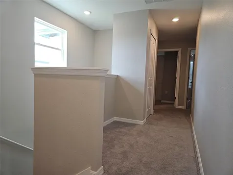 32112 Powderpuff Mimosa Drive San Antonio FL 33576
