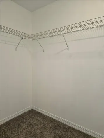 32112 Powderpuff Mimosa Drive San Antonio FL 33576