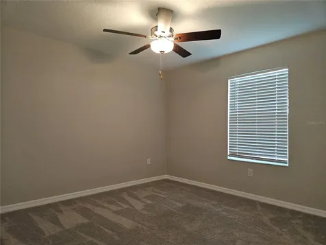 32112 Powderpuff Mimosa Drive San Antonio FL 33576