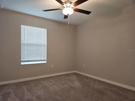 32112 Powderpuff Mimosa Drive San Antonio FL 33576