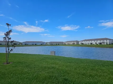 32112 Powderpuff Mimosa Drive San Antonio FL 33576