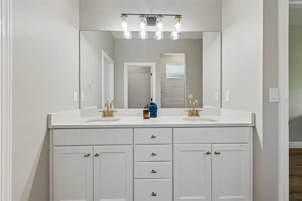 5619 Silver Sun Drive Apollo Beach FL 33572