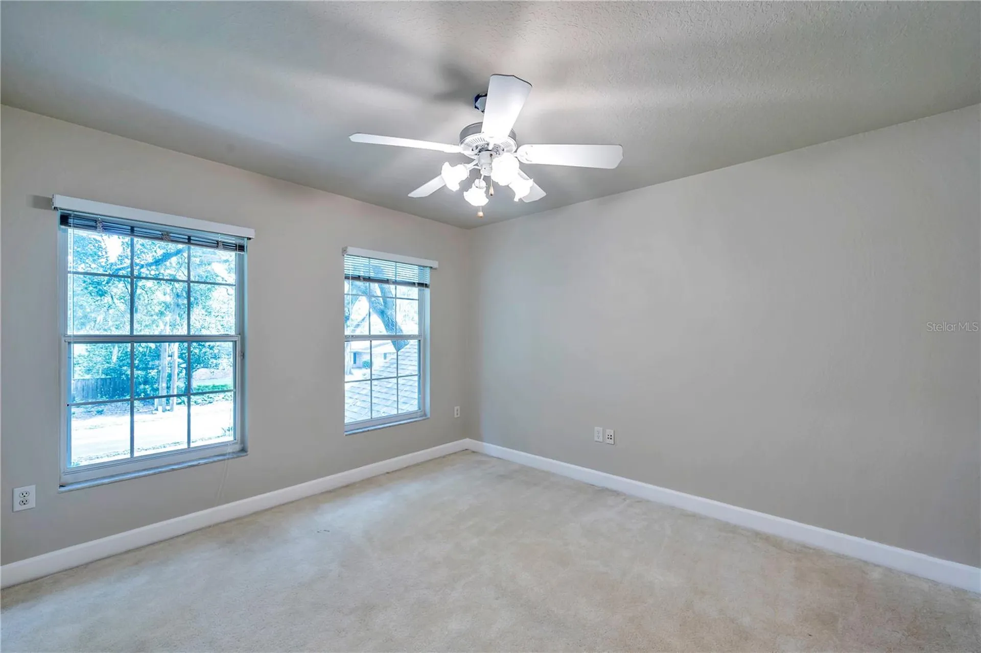 1507 W Windhorst Road Brandon FL 33510