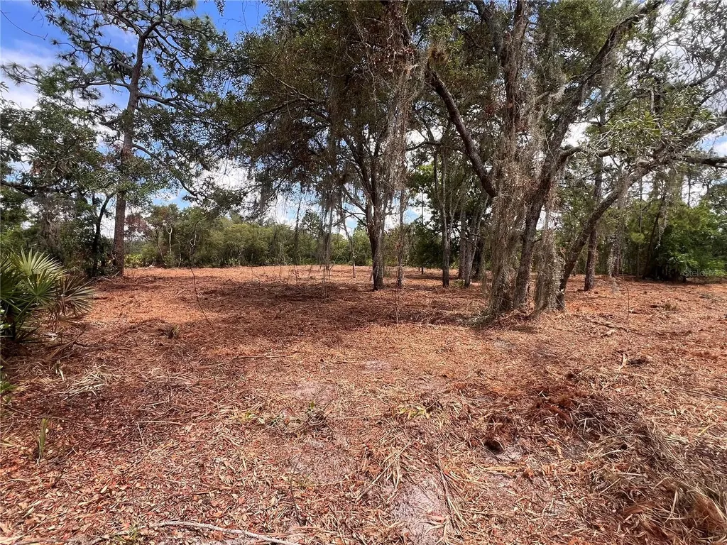 Deer Road Frostproof FL 33843