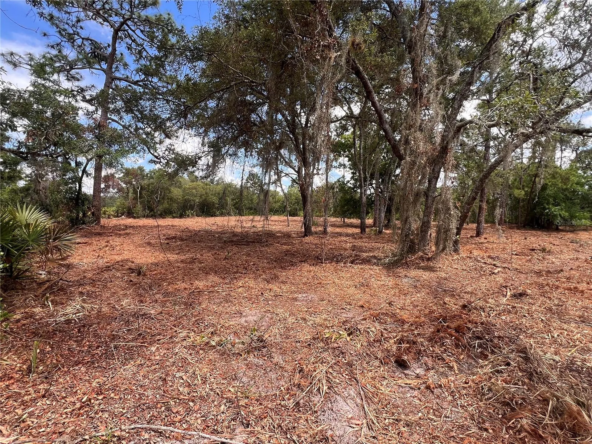 Deer Road Frostproof FL 33843