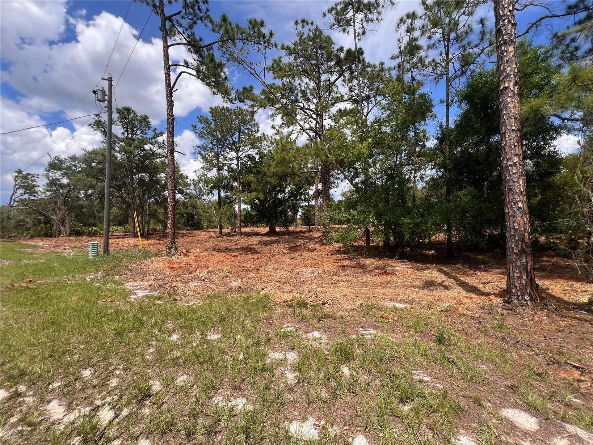 Deer Road Frostproof FL 33843