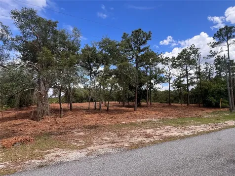 Deer Road Frostproof FL 33843
