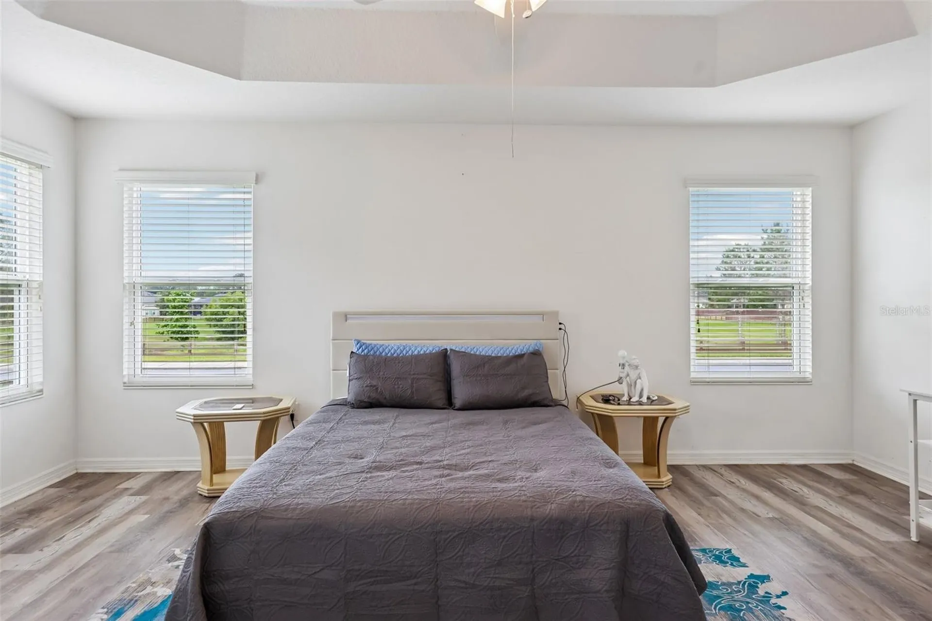 3315 Dzuro Drive Oxford FL 34484