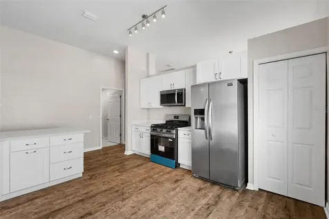 1247 Vinetree Drive Brandon FL 33510