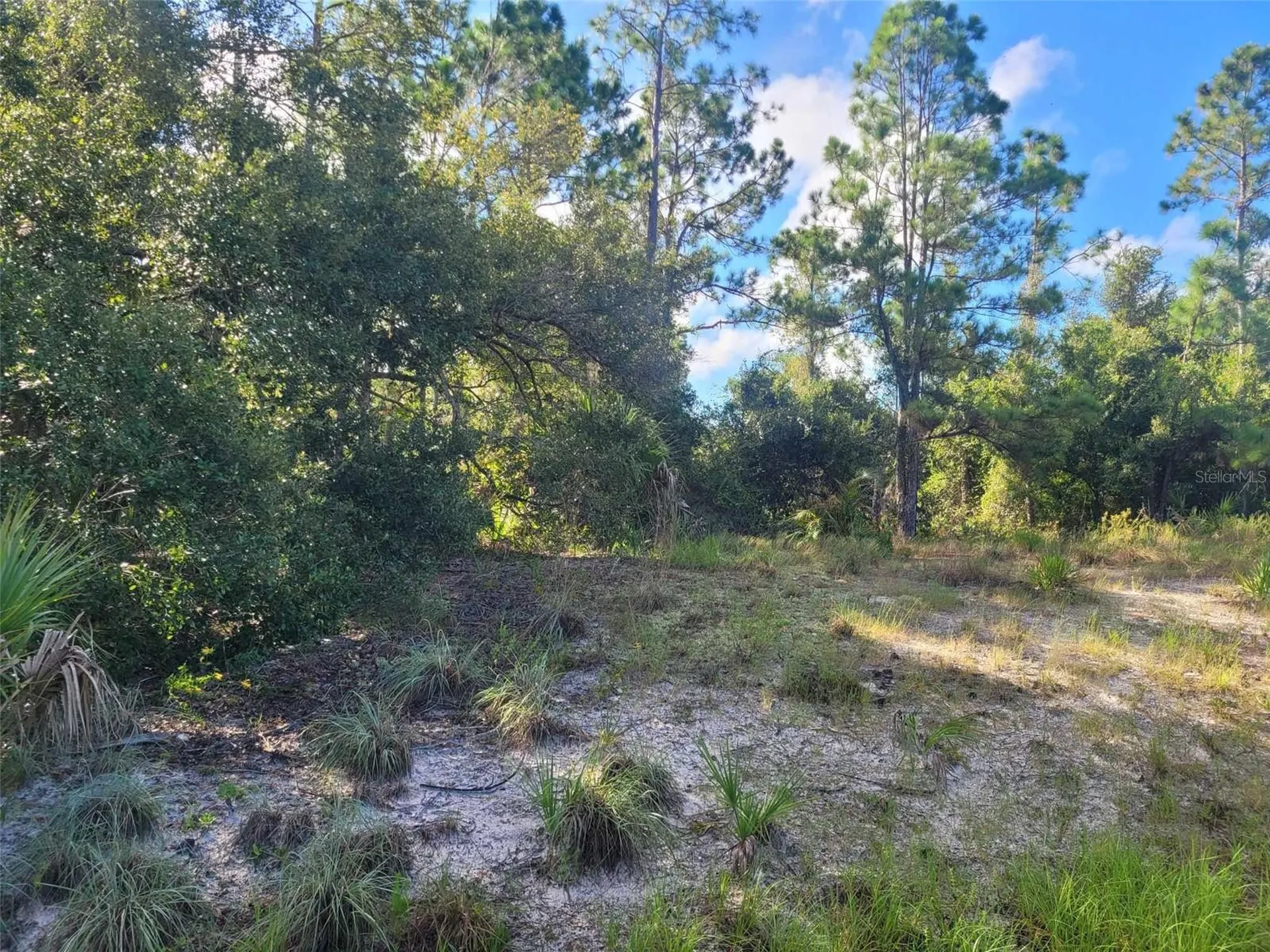 Scenic Road North Port FL 34288