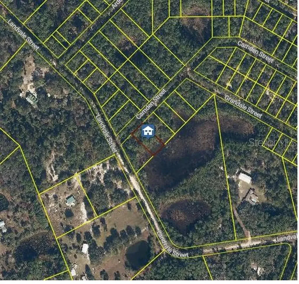 103 Brierly Street Georgetown FL 32139