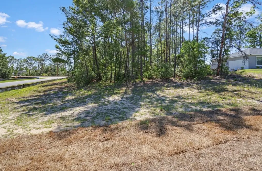 Tbd SW 50th Avenue Ocala FL 34473