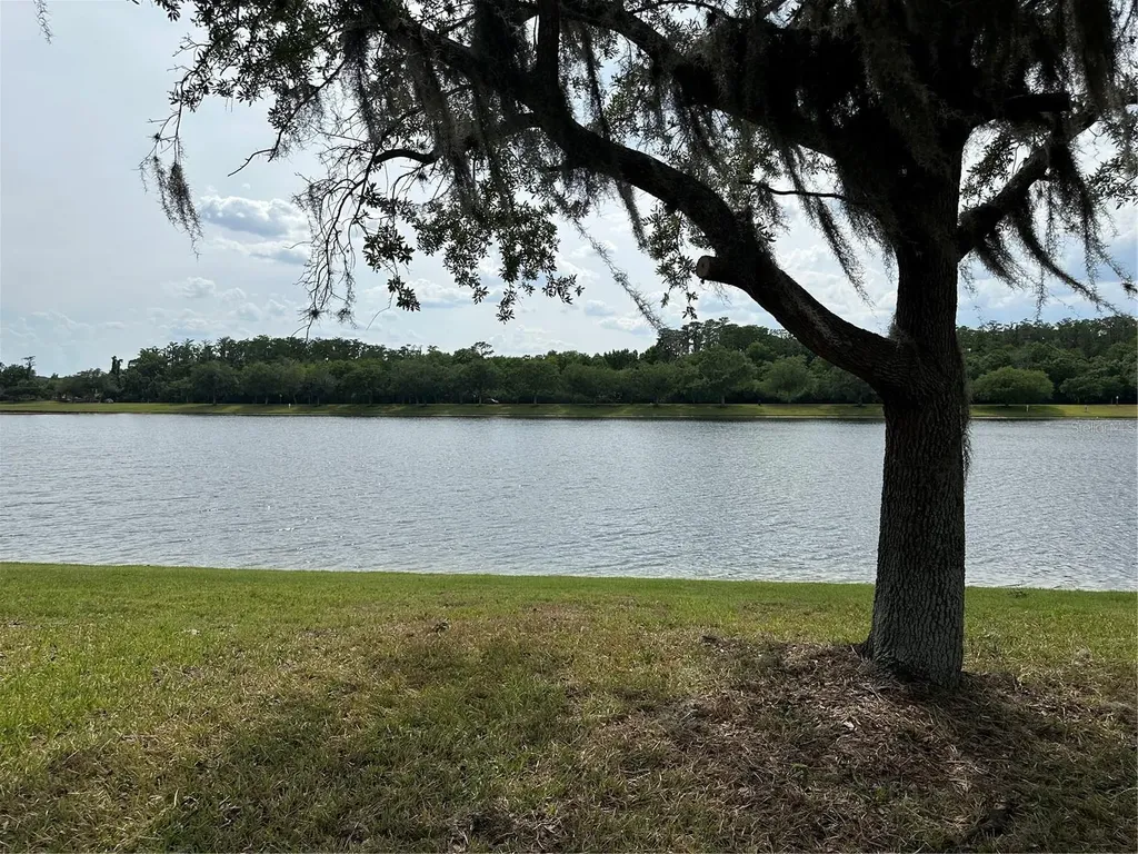 5996 Milford Haven Place Orlando FL 32829