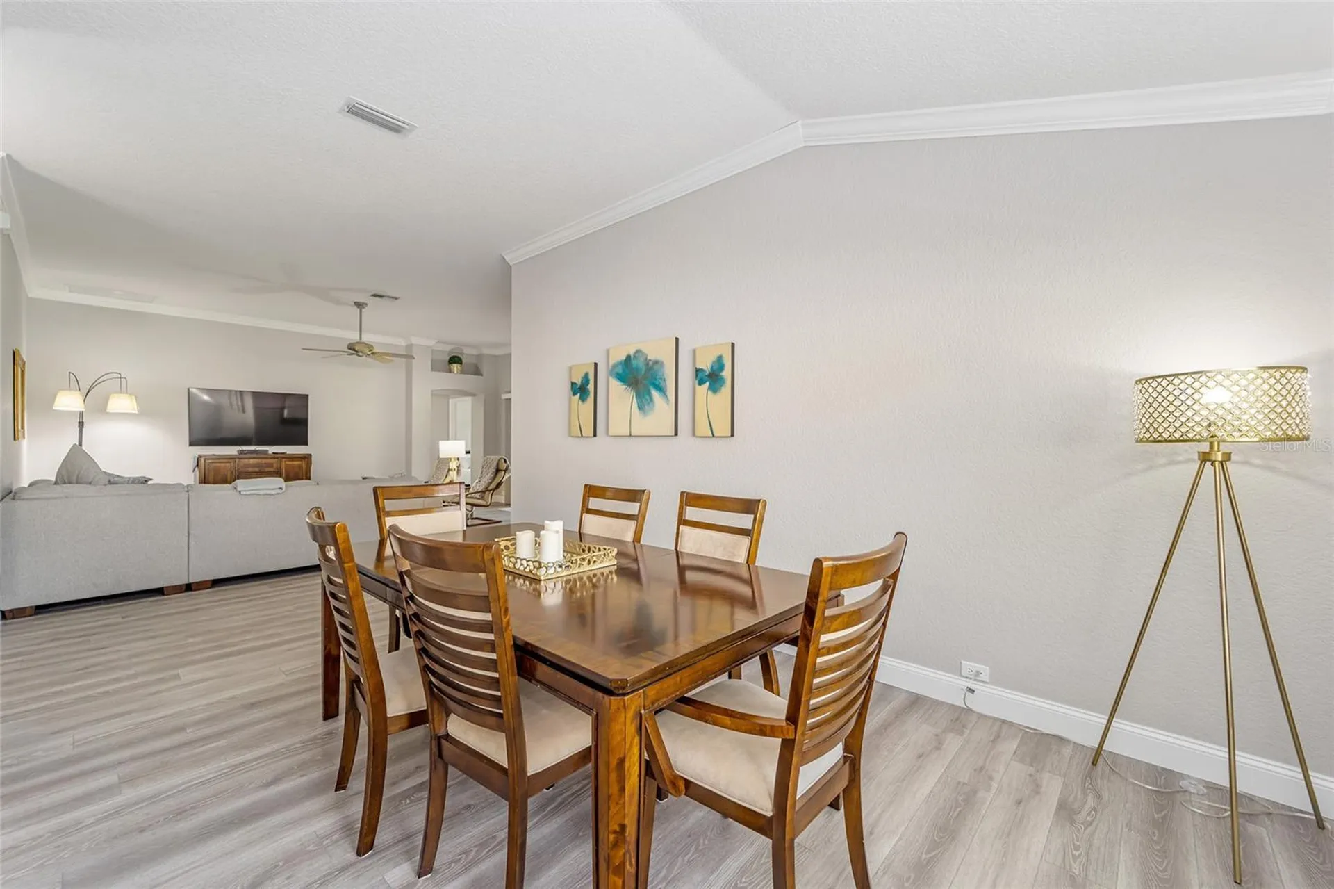 1870 Provence Court The Villages FL 32162