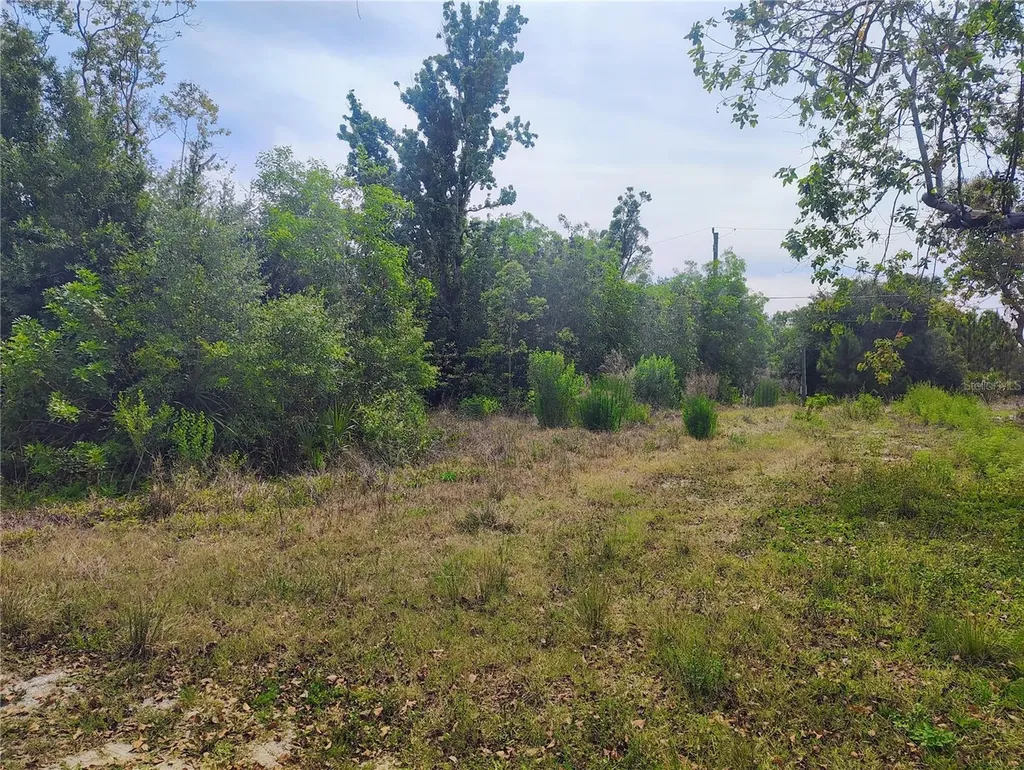 9283 Mandy Street Punta Gorda FL 33982
