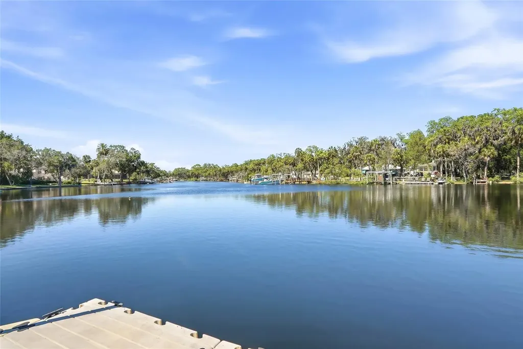 7213 Jasmin Drive New Port Richey FL 34652