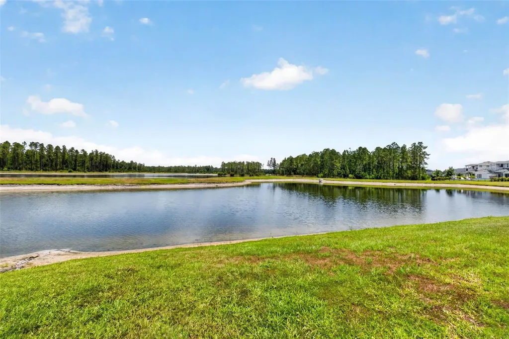 16181 November Rain Court Land O Lakes FL 34638