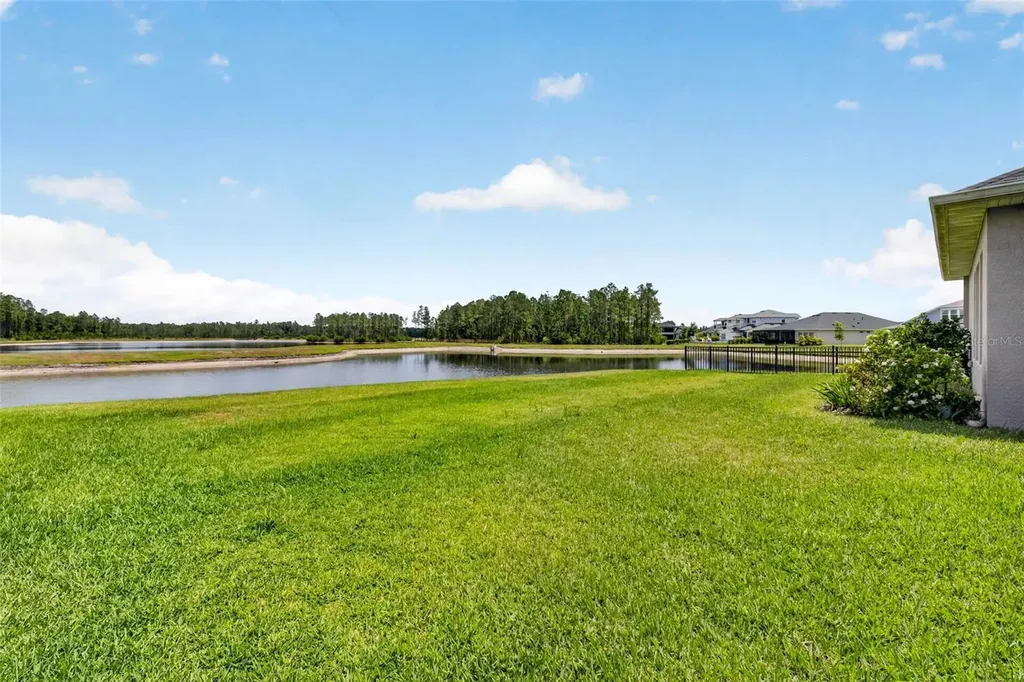 16181 November Rain Court Land O Lakes FL 34638