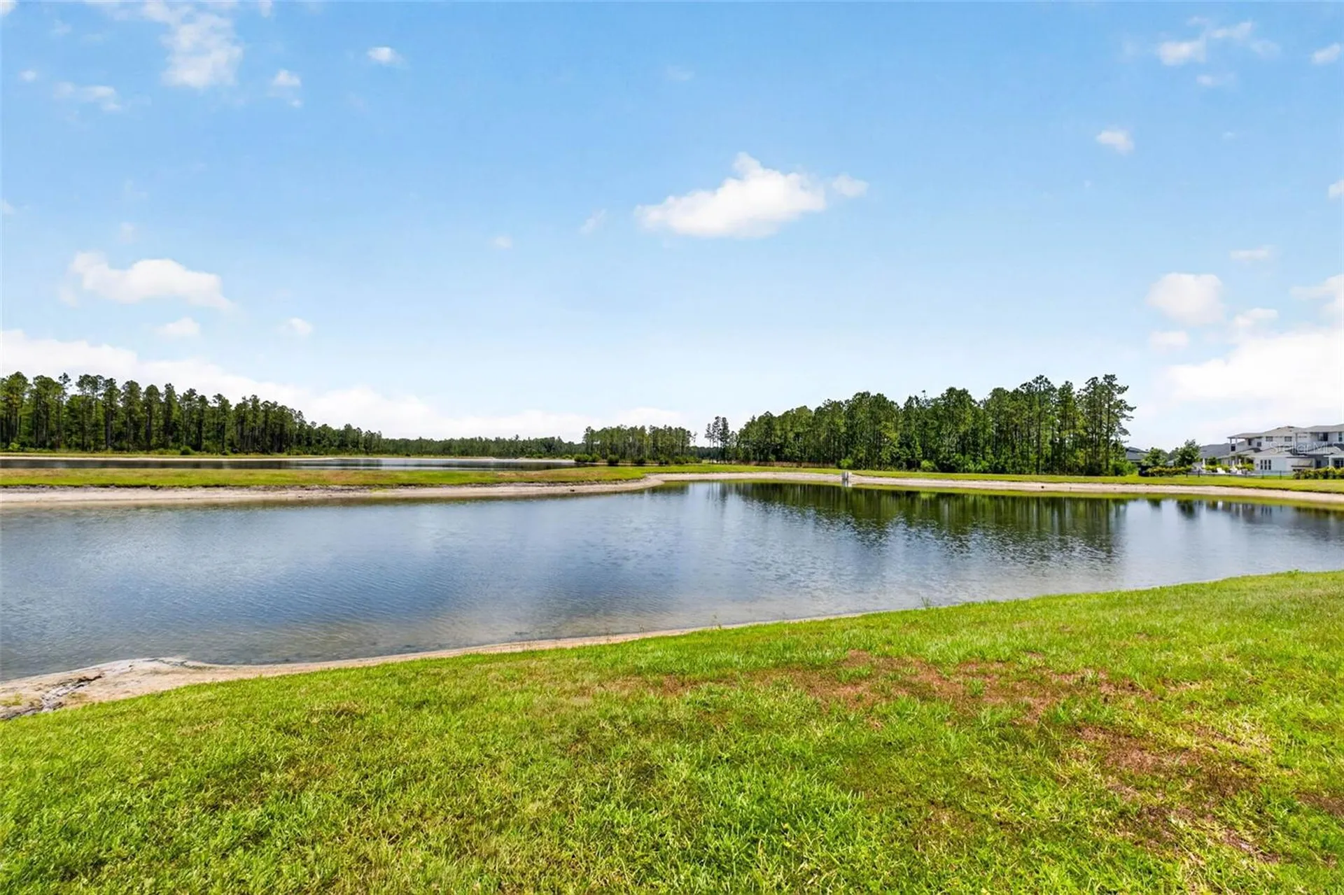 16181 November Rain Court Land O Lakes FL 34638