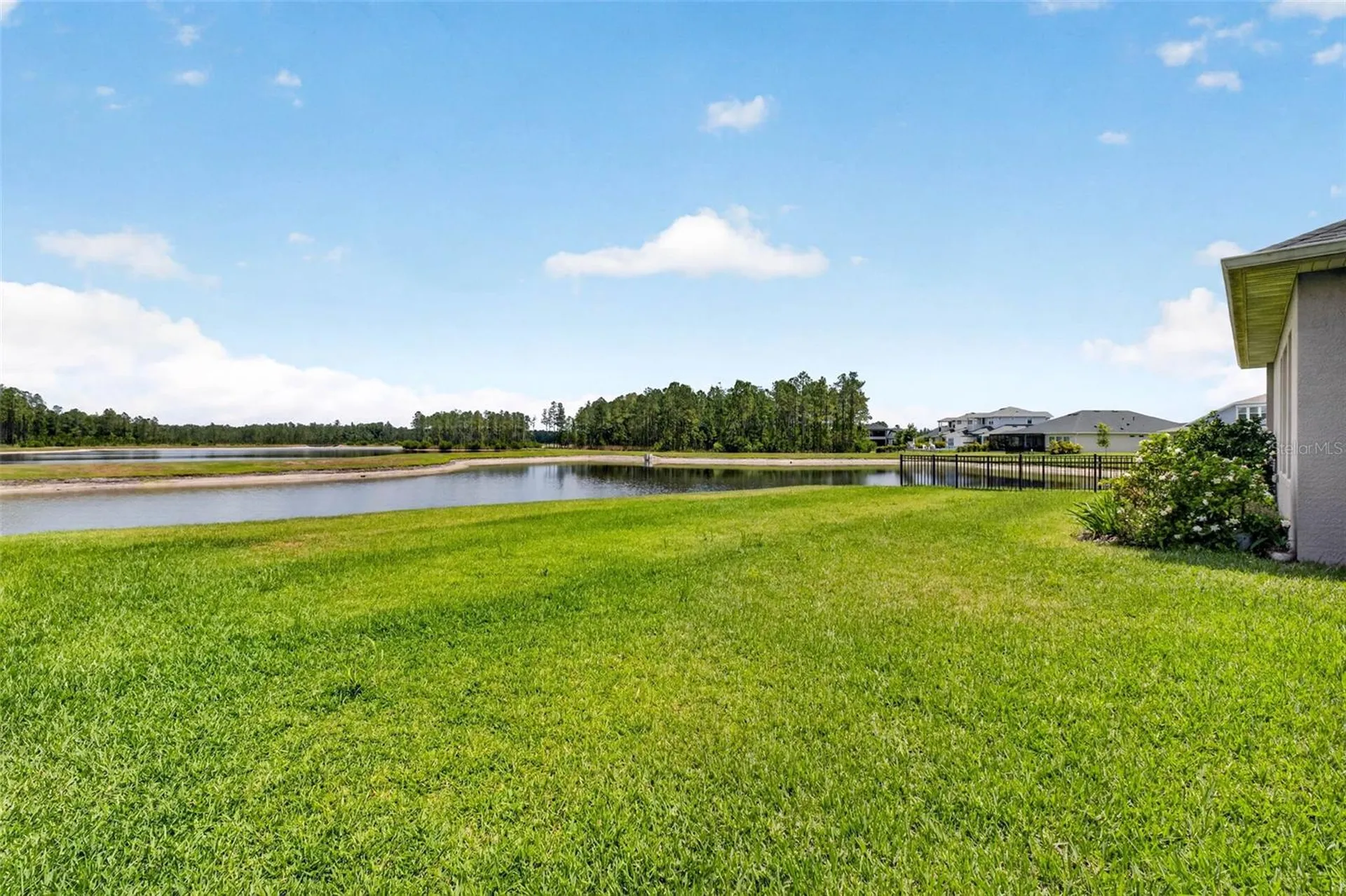 16181 November Rain Court Land O Lakes FL 34638