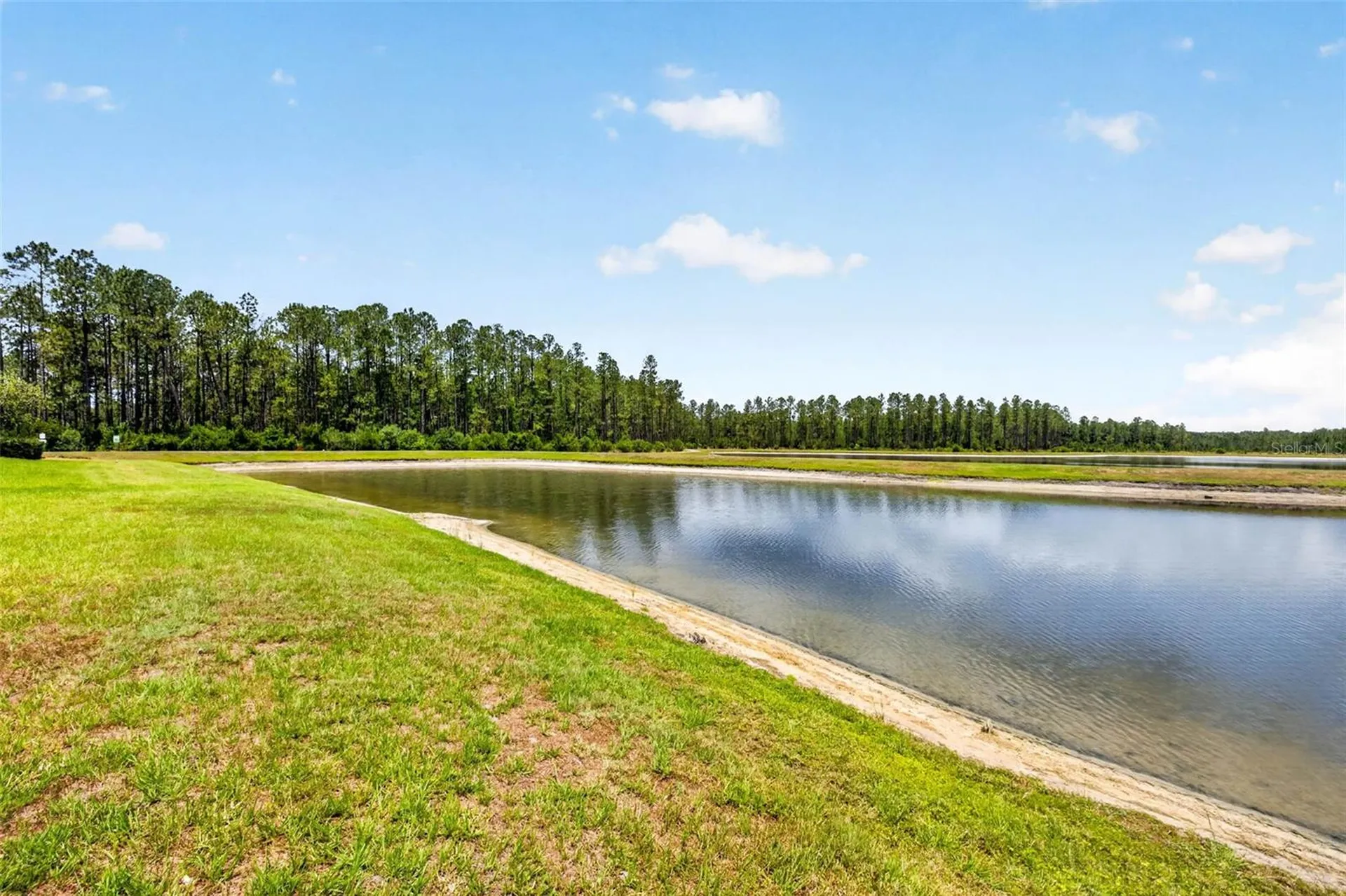 16181 November Rain Court Land O Lakes FL 34638