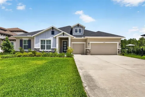 16181 November Rain Court Land O Lakes FL 34638
