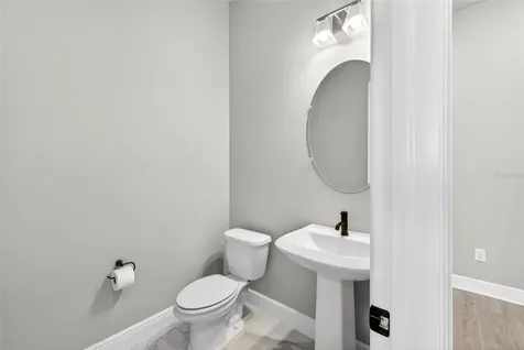 16181 November Rain Court Land O Lakes FL 34638