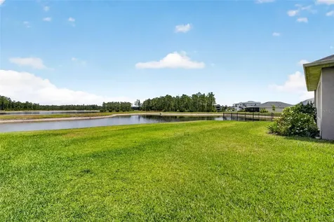 16181 November Rain Court Land O Lakes FL 34638