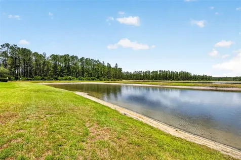 16181 November Rain Court Land O Lakes FL 34638