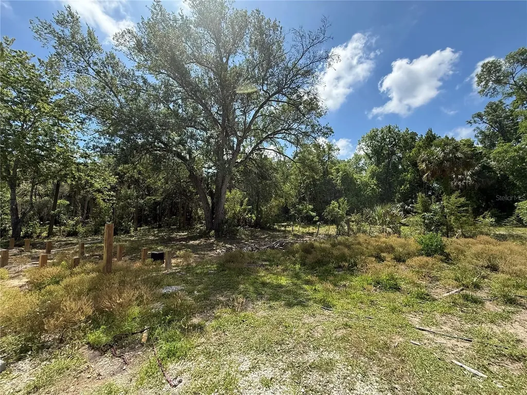 186 Gladys Avenue Inglis FL 34449