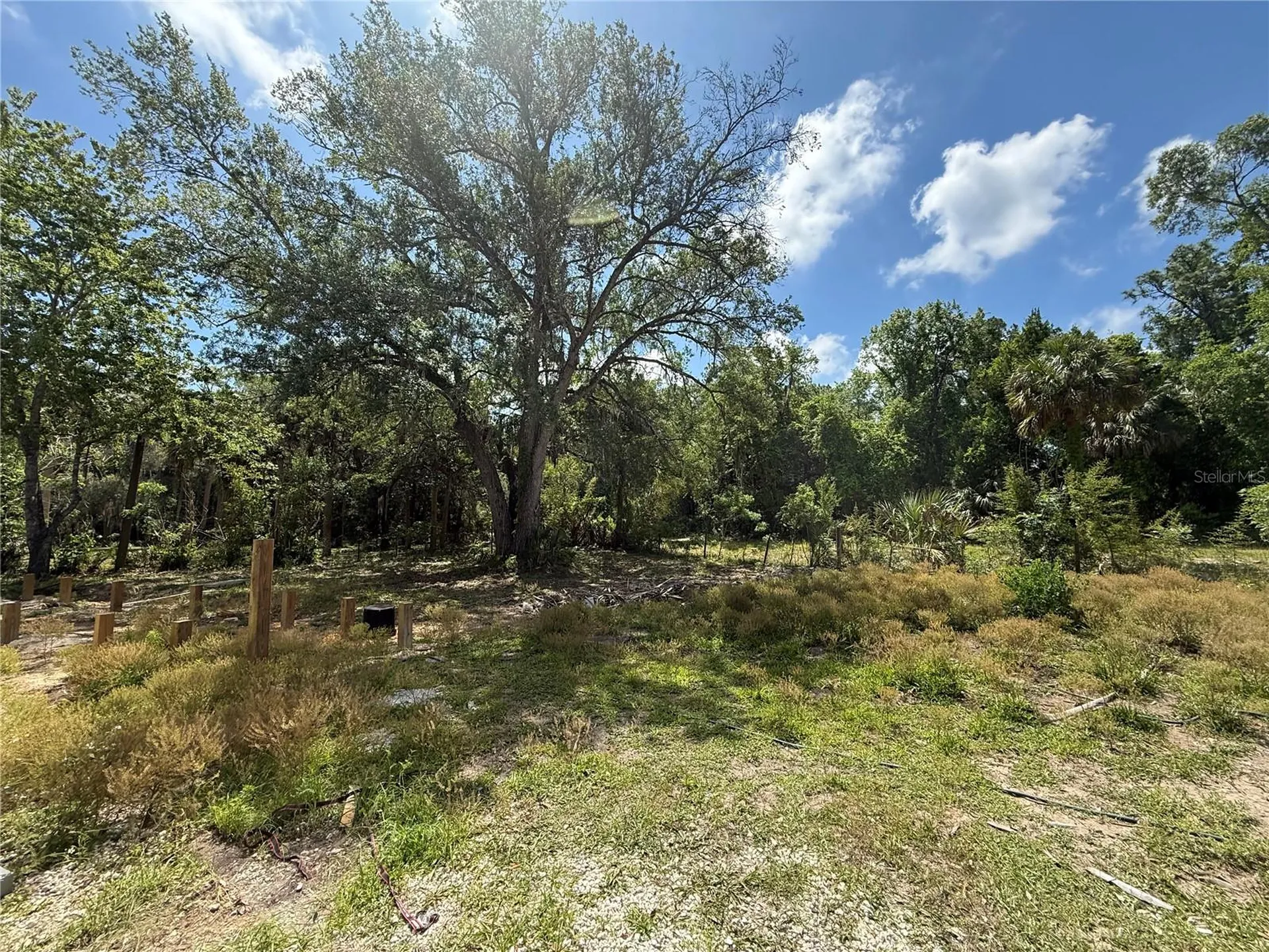 186 Gladys Avenue Inglis FL 34449
