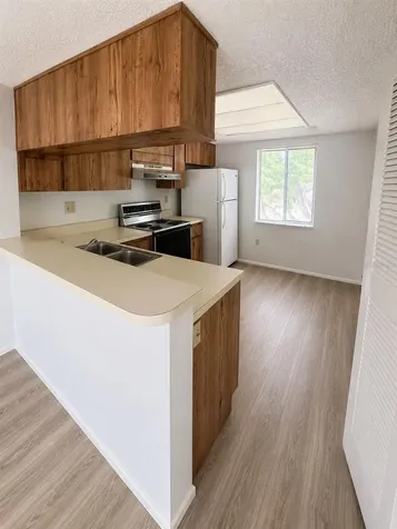 112 Cypress Court Oldsmar FL 34677