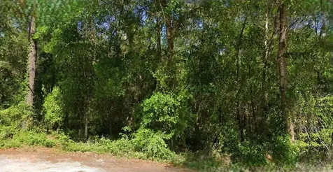 NE 6th Lane Road Silver Springs FL 34488