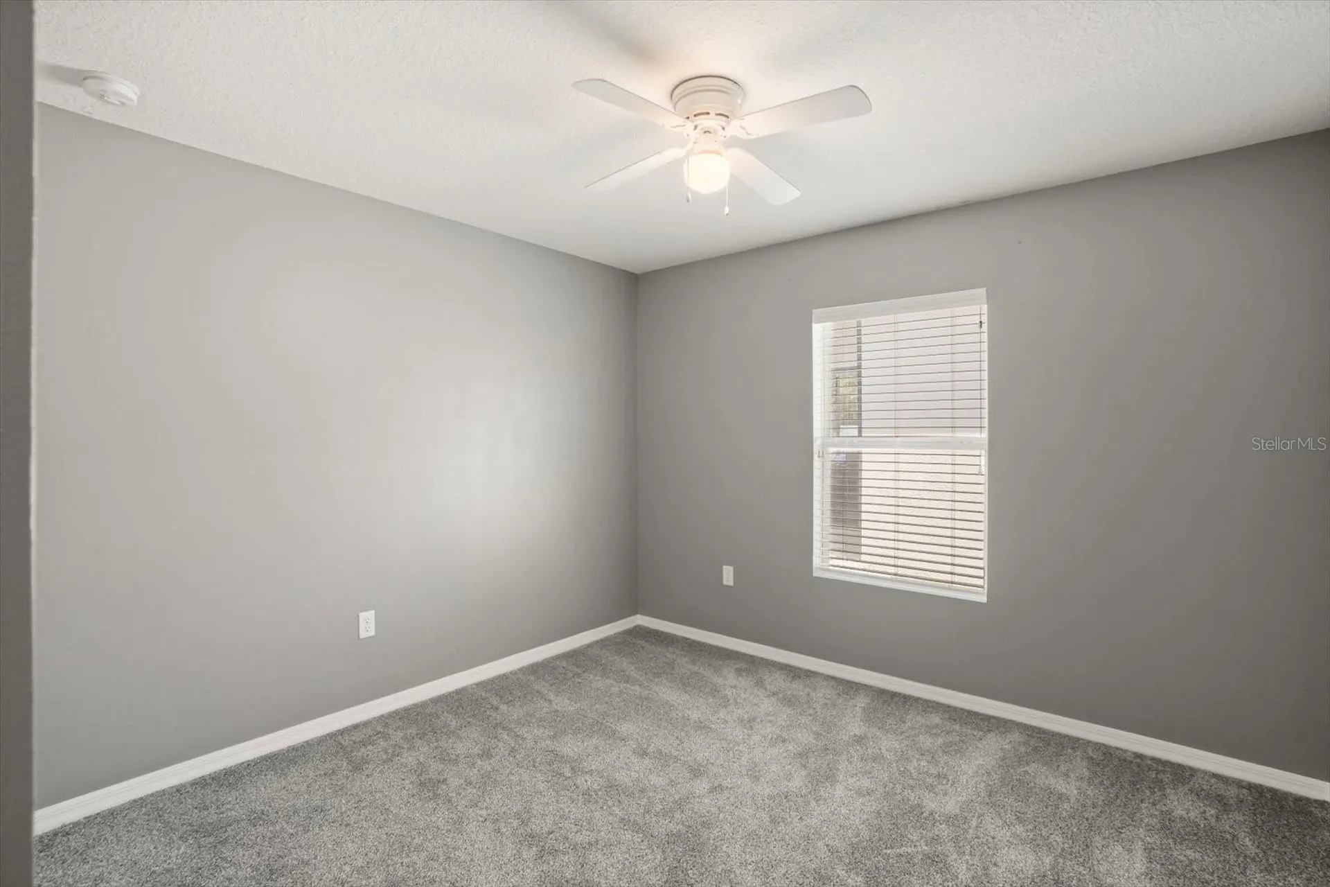 5109 Ballark Street Mount Dora FL 32757