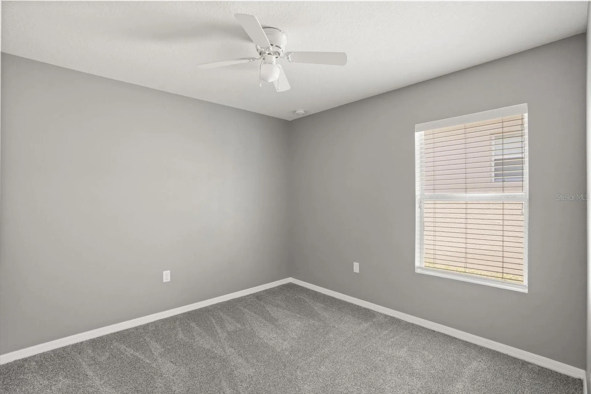 5109 Ballark Street Mount Dora FL 32757