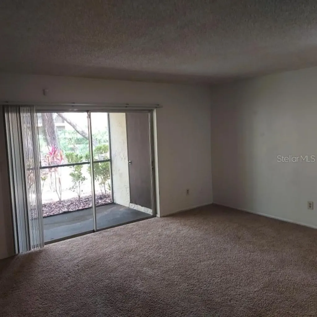 14111 Mossy Glen Lane Tampa FL 33613
