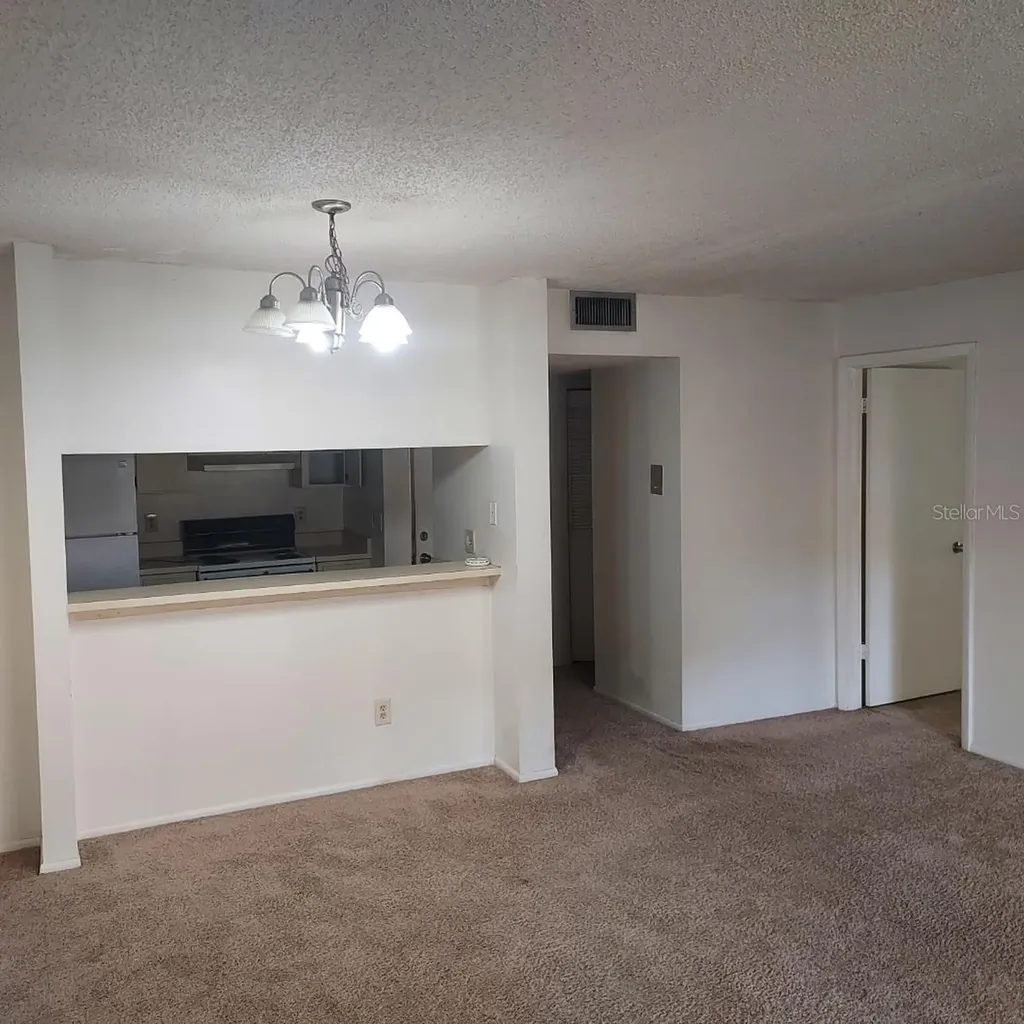 14111 Mossy Glen Lane Tampa FL 33613