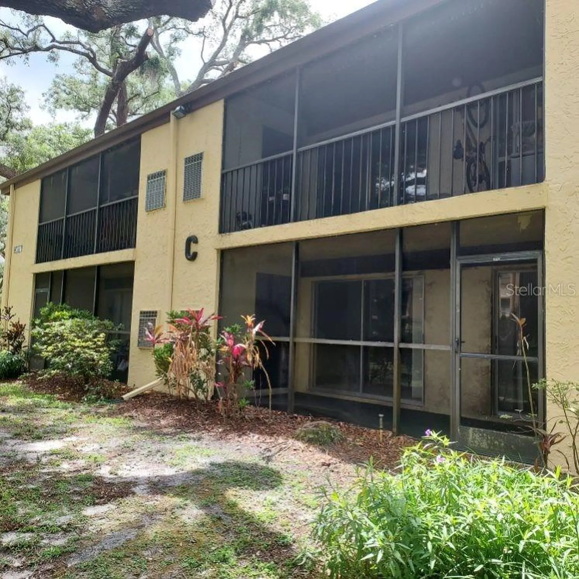 14111 Mossy Glen Lane Tampa FL 33613