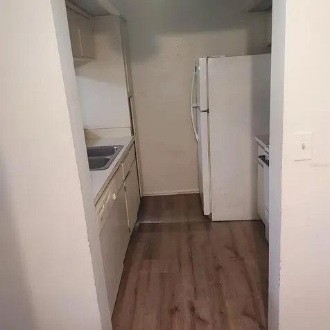 14111 Mossy Glen Lane Tampa FL 33613