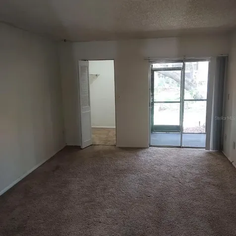 14111 Mossy Glen Lane Tampa FL 33613