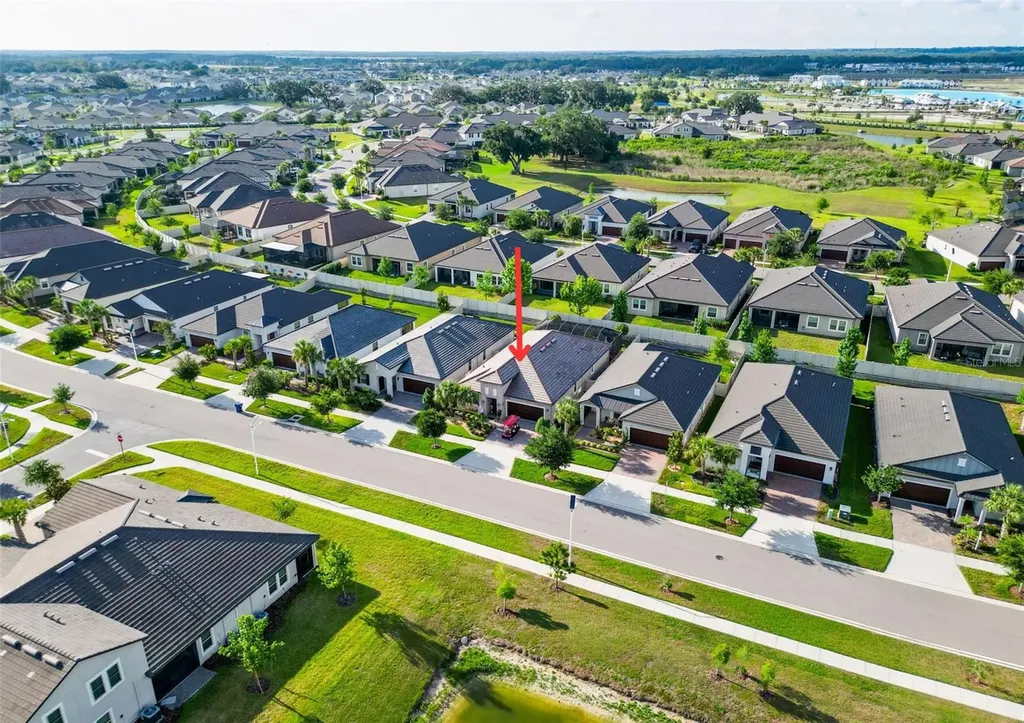 31527 Cannon Rush Drive San Antonio FL 33576