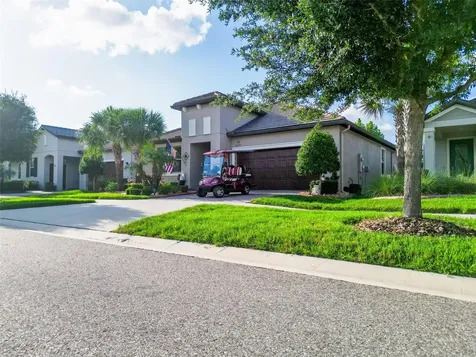 31527 Cannon Rush Drive San Antonio FL 33576